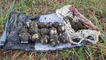 На Закарпатті прикордонники затримали чоловіка з наркотиками