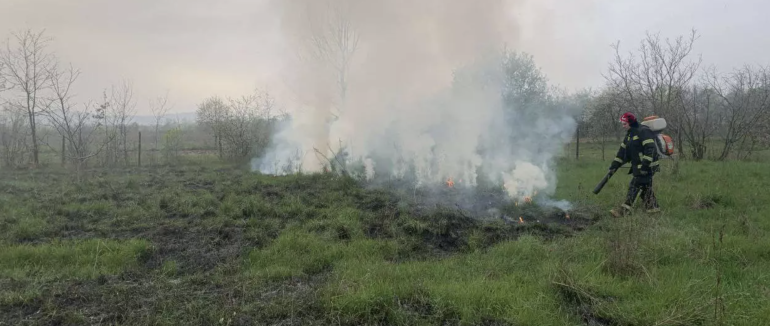 190 пожеж в екосистемах з початку року ліквідували вогнеборці на Закарпатті