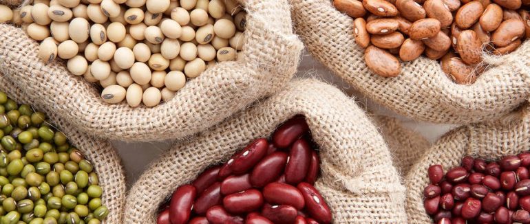 Цікаві факти про квасолю