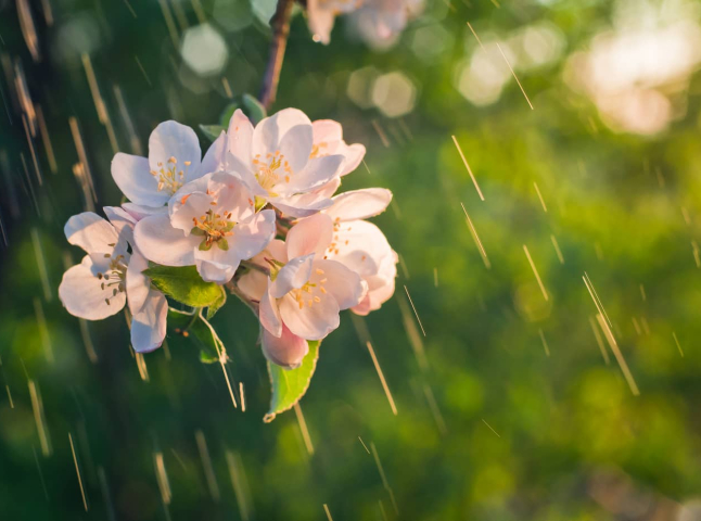 Почнуться дощі та суттєве зниження температури: Україну накриє негода