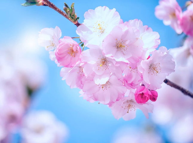 Погода різко зміниться: з якого числа знову очікувати тепло