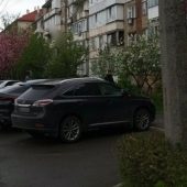 Порушники паркування: у Мукачеві винесено штрафів на понад 1 млн грн