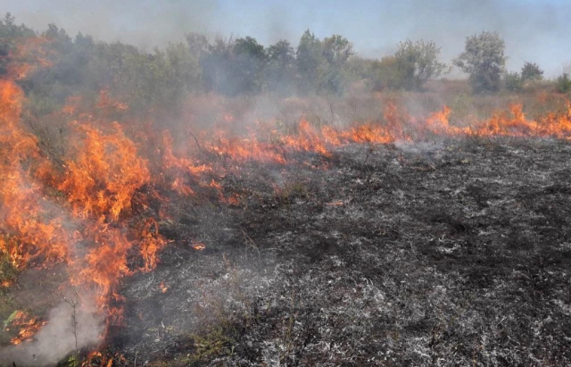 За останні 3 дні закарпатські рятувальники 9 разів виїжджали гасити траву та чагарники