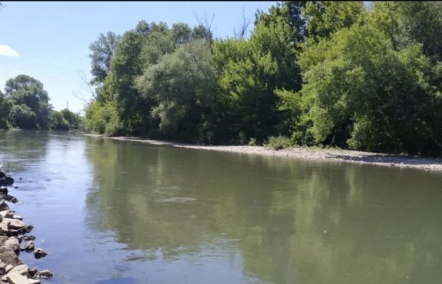 У річці Тиса на Закарпатті виявили тіло чоловіка