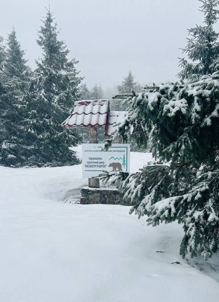 У Карпатах знову випав сніг