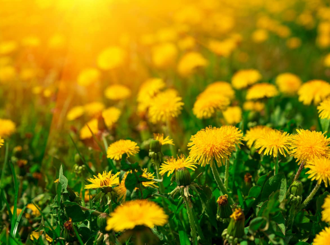 Коли очікувати до +24: оновлений прогноз погоди