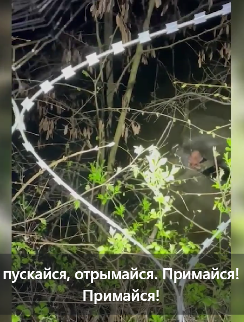 На Закарпатті прикордоннику вдалося врятувати життя чоловіку-втікачу, ще одного шукають у Тисі