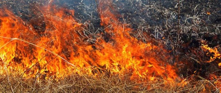 На Закарпатті знову оголосили 5 клас пожежної небезпеки