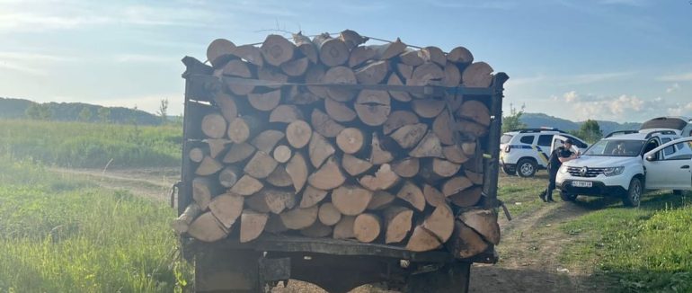 На Закарпатті затримали двох чоловіків, які незаконно вирубували дерева