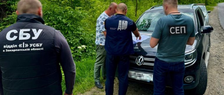 Прокуратура виявила незаконну рубку на Тячівщині зі збитками на 1,4 млн грн