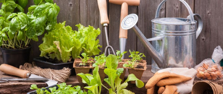 Посівний календар на травень: що обов’язково потрібно посадити