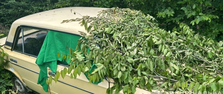 В Іршаві троє юнаків викрали авто та сховали у лісі