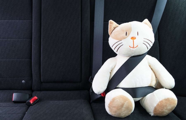 У квітні патрульні Закарпаття оштрафували 141 водія за непристебнутий пасок безпеки