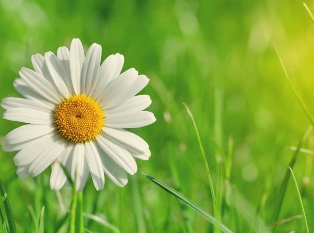 Погода на тиждень: коли очікувати потепління