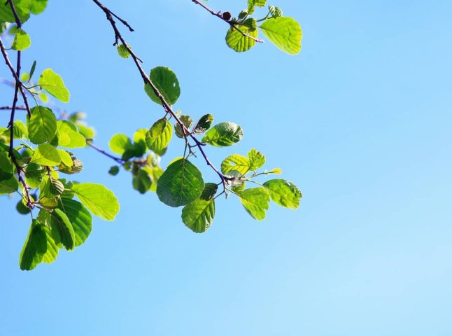 Навіть заморозки очікують: синоптики розповіли, коли почнеться похолодання у травні