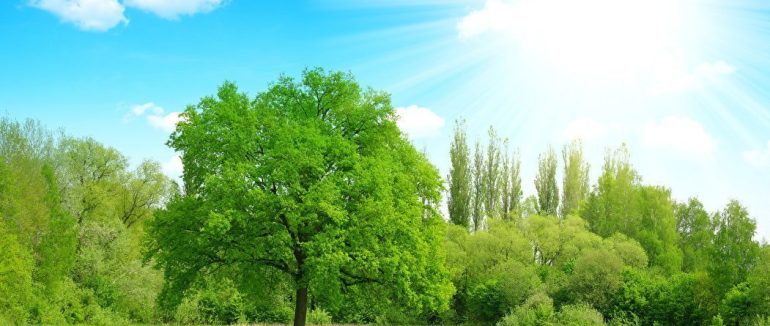 На Закарпатті синоптики прогнозують помірно теплий та сонячний тиждень