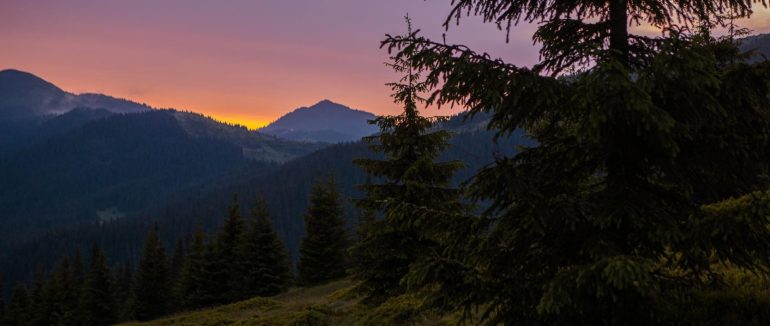 У Карпатах поблизу кордону виявили тіло людини без ознак життя