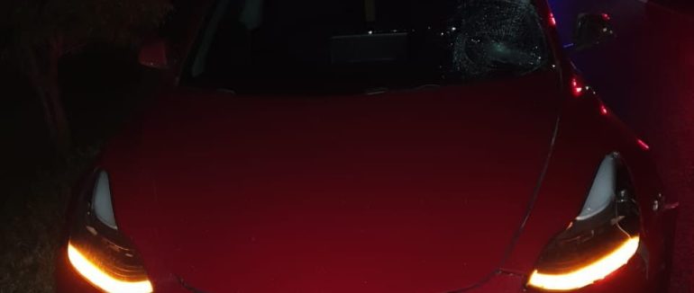 У Берегівському районі 20-річний водій на «Tesla» на смерть збив пішохода