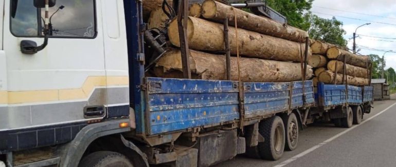 У Нижніх Воротах поліція виявила водія, який перевозив деревину без документів