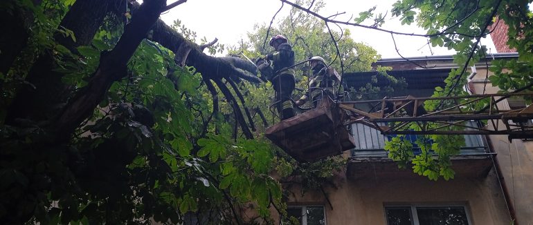 В Ужгороді та у Мукачівському району різка зміна погодних умов призвела до падіння дерев