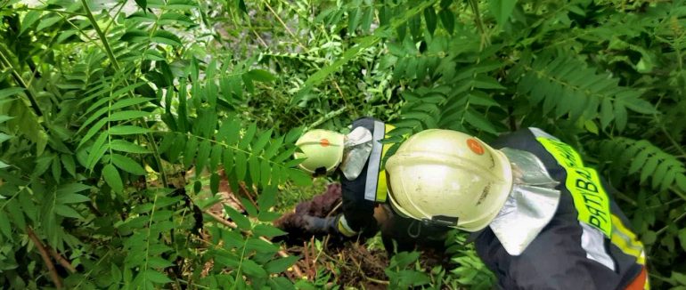 У Перечині поблизу потічка виявили тіло чоловіка