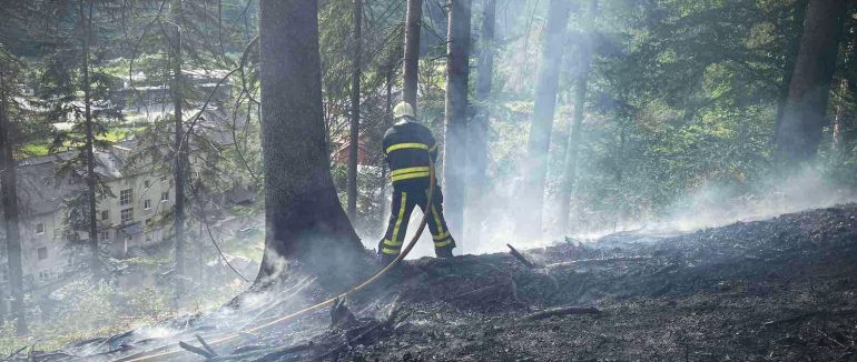 На Закарпатті горять ліси: рятувальники гасять пожежу