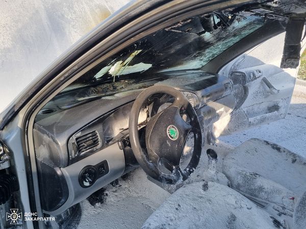 Дві автівки у вогні: на Закарпатті згорів Hyundai Sonata і Skoda Octavia (ФОТО)