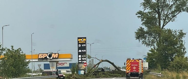 На Закарпатті негода повалила декілька дерев