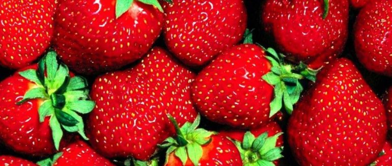 Як зберегти полуницю свіжою якнайдовше: корисні поради