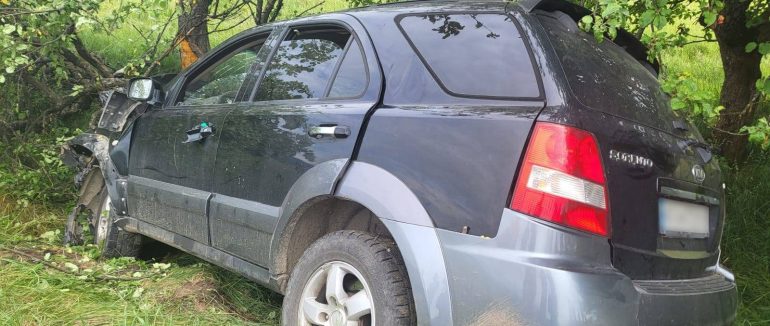 На Закарпатті у ДТП травмувалися вагітна жінка та дитина