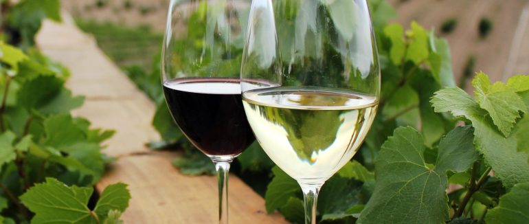 Закарпатське вино отримало офіційне географічне зазначення