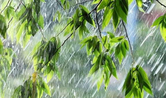 На Закарпатті прогнозують дощовий тиждень