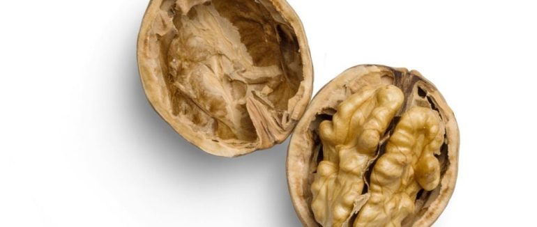 Припиніть викидати шкаралупу горіхів: це чудодійний засіб, який допоможе врятувати кімнатні рослини