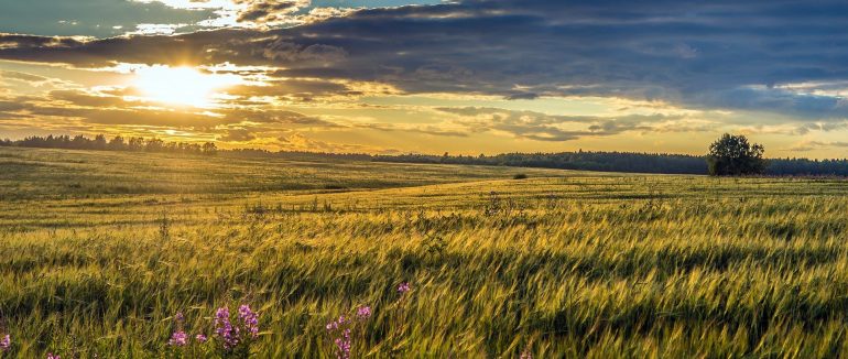 Зниклого безвісти закарпатця виявили мертвим