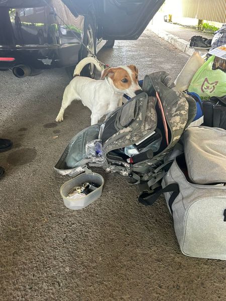 На Закарпатті на кордонні у 24-річної українки службова собака знайшла гранати