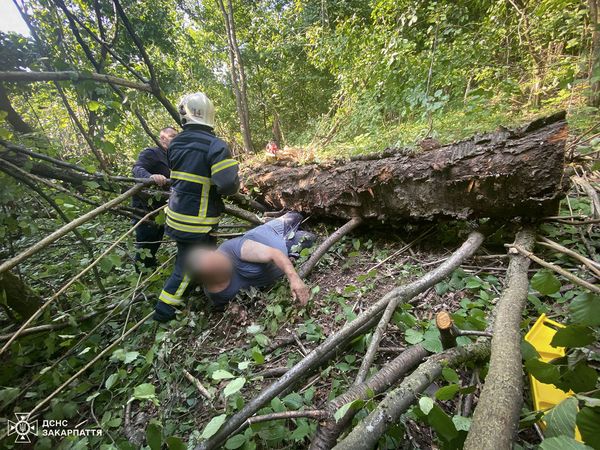 Затиснутий деревом: рятувальники витягали постраждалого на Хустщині (ФОТО)