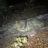 Кілька діб у лісі: на Закарпатті прикордонники знайшли тіло у горах (ФОТО)