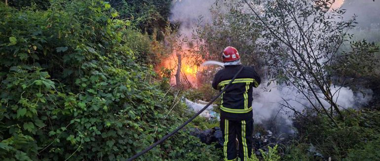 На Закарпатті за добу сталося 8 пожеж в екосистемах