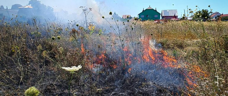 10 екопожеж ліквідували рятувальники протягом понеділка на Закарпатті