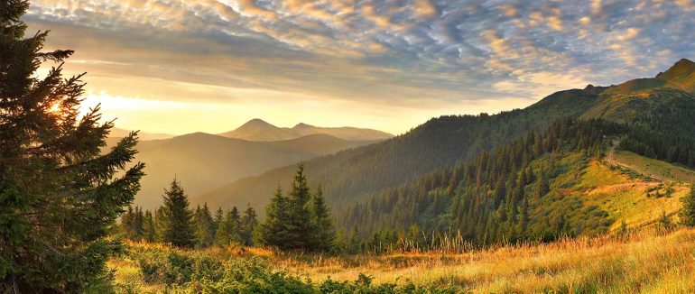 Доволі спекотно: якою буде погода на вихідні в Закарпатті