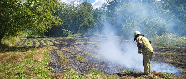 Закарпаття й надалі потерпає від пожеж на відкритих територіях