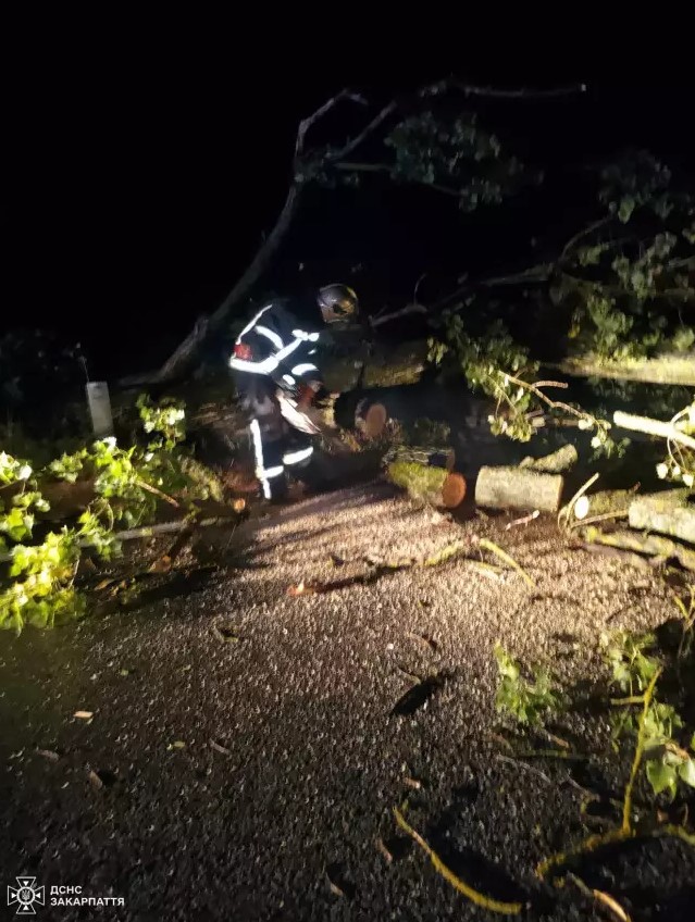 Значні опади та сильний вітер спричинили негативні наслідки на Закарпатті