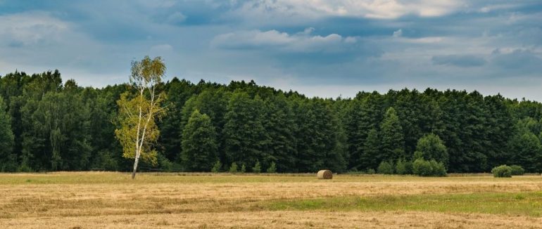 До України суне антициклон: як зміниться погода вихідними, 3-4 серпня