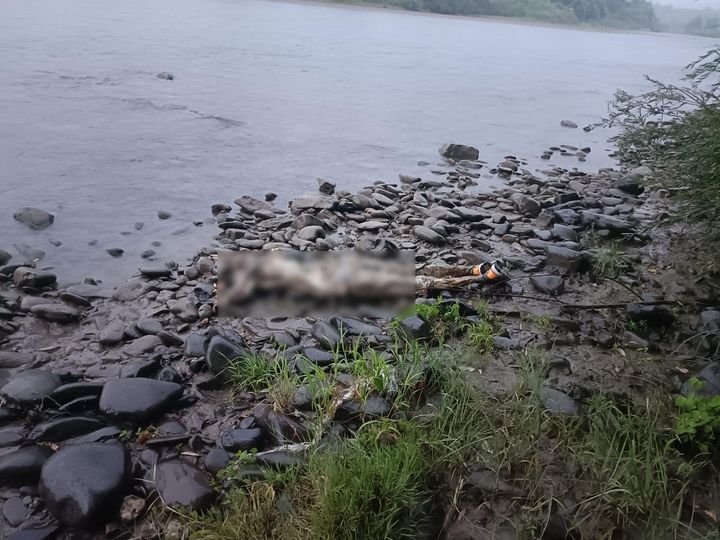 39-й випадок: прикордонники виявили у Тисі тіла людини