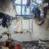 Обережно з шершнями: в Ільниці вогнеборці боролися з пожежею через комах (ФОТО)