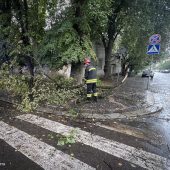 Негода та її наслідки: ужгородцям дерева перегородили дорогу (ФОТО)