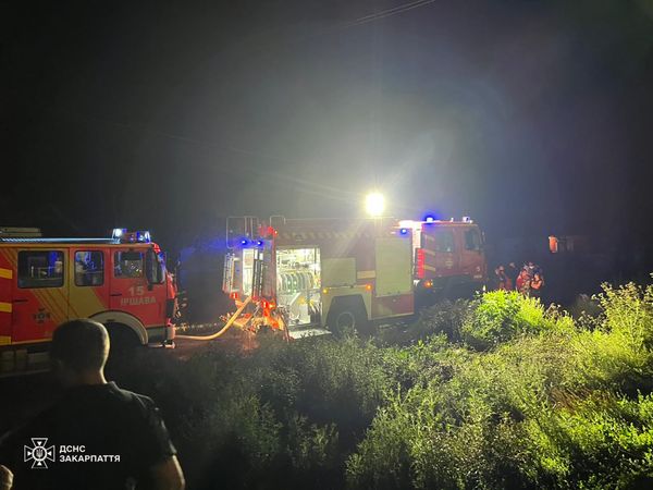 Трагічна пожежа: у Собатині загинула мама з дитиною (ФОТО)