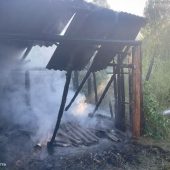 Вогонь від сухої трави: на Тячівщині горіла надвірна споруда (ФОТО)