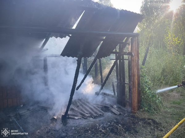 Вогонь від сухої трави: на Тячівщині горіла надвірна споруда (ФОТО)