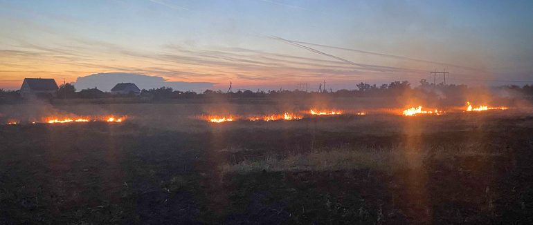 Горіли поля та кладовища: протягом неділі закарпатські рятувальники ліквідували 9 пожеж в екосистемах